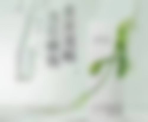 二、辽宁沈阳美置颜医疗美容门诊正规吗？来看看医院资质：