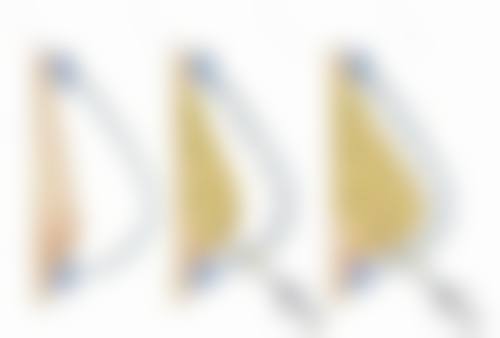 三、广州臻妍颂医疗美容诊所基本信息：