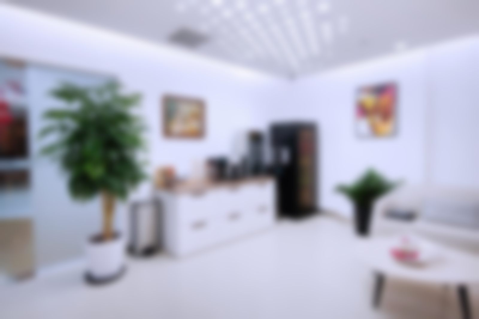 四、北京丰联丽格医疗美容门诊部基本信息：