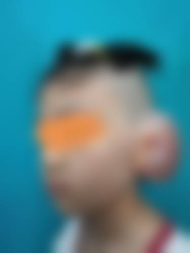 张会堂怎么预约？