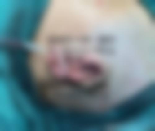 张会堂个人资料及简历