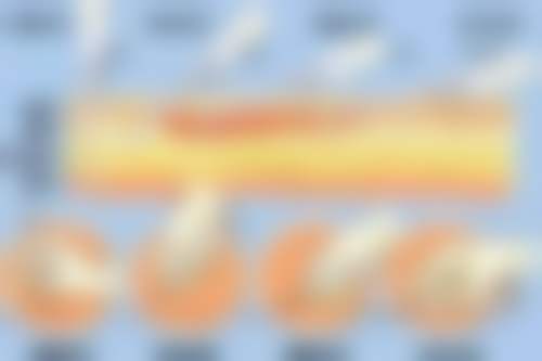 五、北京仁雁医疗美容门诊部实例