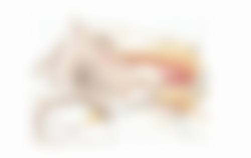 八、贵阳中医学校第二附属医院真实的顾客评价如下：