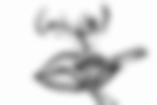 六、福建泉州明韩医疗美容门诊部价格表：（仅供参考）