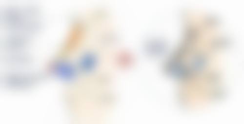 疤痕修复的各个阶段特点