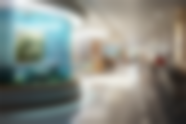 四川美莱整形美容医院