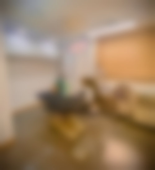 韩俊眼部整形项目价格表参考