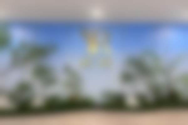 白冰洋个人资料及简历