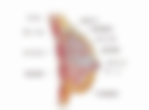 双眼皮埋线线断裂概率几何？精心护理是重要后盾