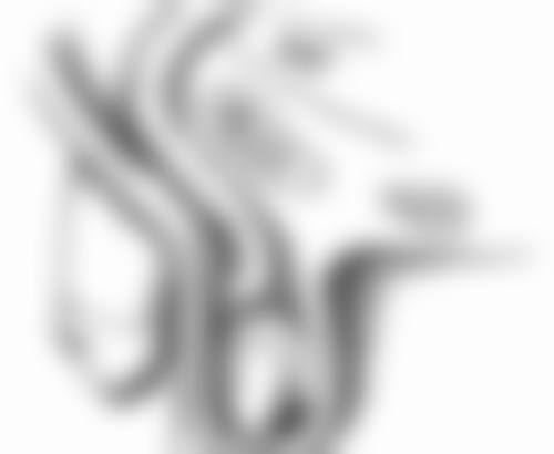 五、南宁市第二人民医院整形美容外科怎么预约：