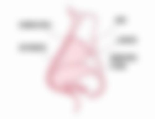 二、南京玄武极妍医疗美容诊所正规吗？来看看医院资质：