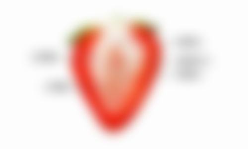 二、北京和颜美帕整形医疗美容医院正规吗？来看看医院资质