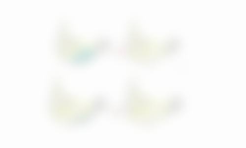 七、深圳市第二人民医院整形烧伤科真实的顾客评价如下：