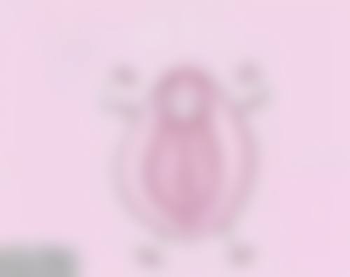 六、阜阳市太和县第五人民医院整形外科怎么预约：