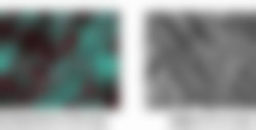 七、兰州姜医生整形医院价格表:(仅供参考)