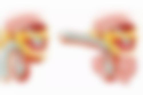 五、莱芜钢铁集团整形医院怎么预约: