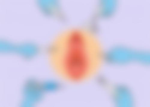 二、北京发之初雍禾植发医院正规吗？来看看医院资质：