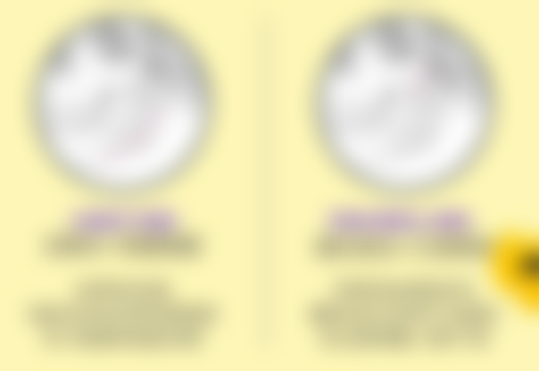 李石项目价格表参考