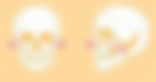 四、南昌碧莲盛植发医院开展的主要项目和特色项目：