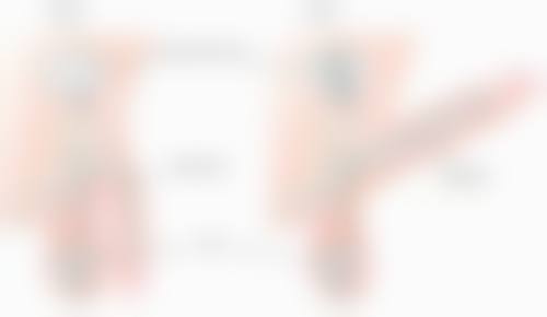 二、新疆安婕丽诗医疗美容整形门诊部正规吗？来看看医院资质：