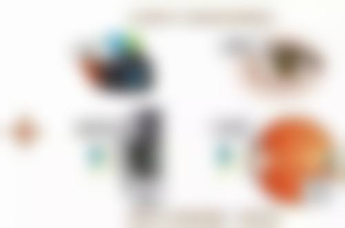 适配之广:多种眼型的突出搭配