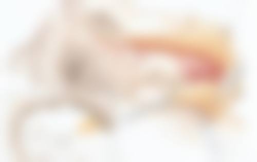 八、潍坊周海祥医疗整形美容诊所真实的顾客评价如下：