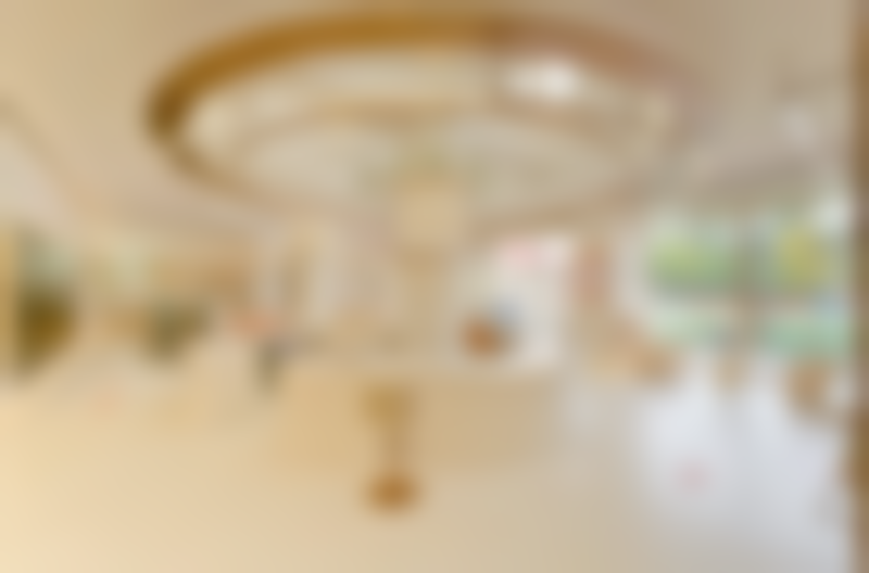 宋楠个人资料及简历