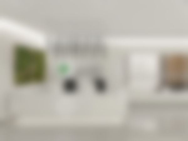 高凌峰怎么预约？