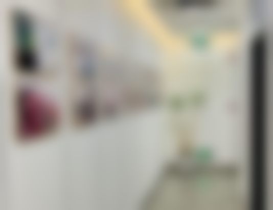 周春阳项目价格表参考