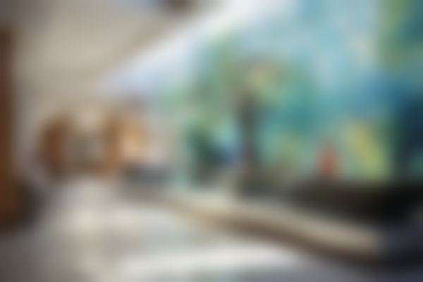 Miya 面部整形诊所