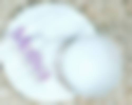 七、金华开发区艺馨综合门诊部价格表：（仅供参考）