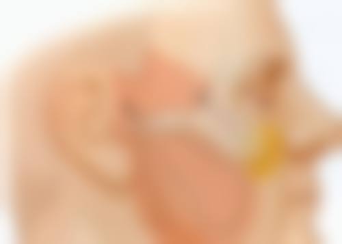 六、上海交通大学医学附属瑞金医院灼伤整形科怎么预约：