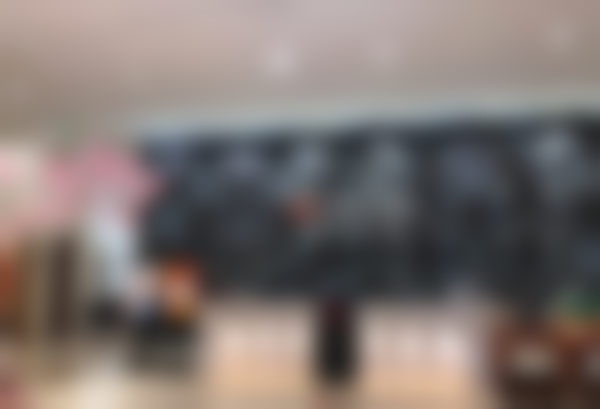 索先忠项目价格表参考