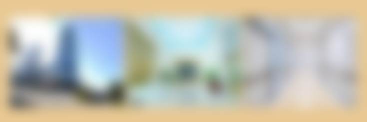 樊雯君口碑和评价