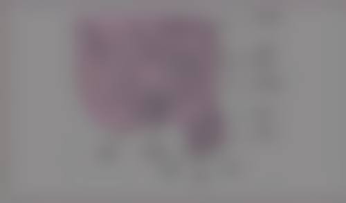 七、鸡西乐华医疗美容诊所真实的顾客评价如下：