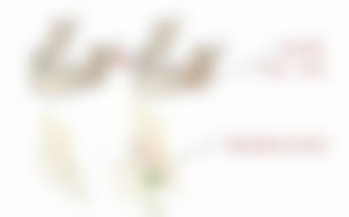 六、上饶信州卓真医疗美容门诊部价格表：（仅供参考）