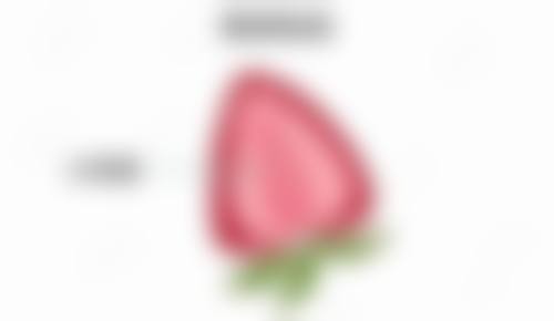 七、韩国葡萄女性医院价格表：（仅供参考）