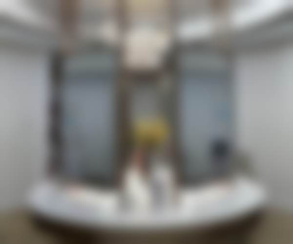 郑州曙光植发汪正伟擅长哪些植发技术？