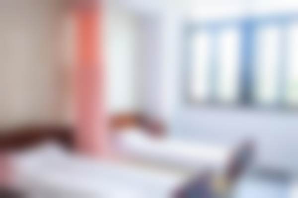 陈红梅医生怎么预约？