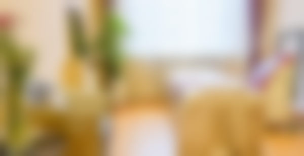 八、哈尔滨艺星医疗美容门诊部真实的顾客评价如下: