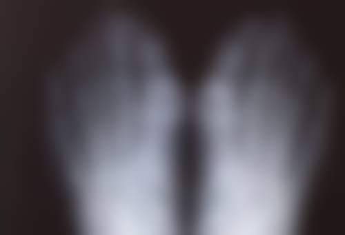 张珉医生在哪家医院