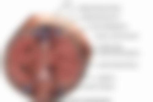 线雕去眼袋效果能维持多久？受材料、年龄和护理影响，优质护理可达2 - 3年 