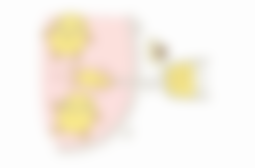 六、潍坊壹美天成医疗美容医院怎么预约：