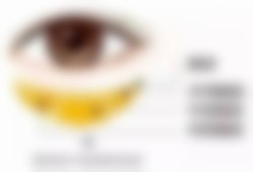 三、深圳美南华黄崇熙医疗美容医院医生介绍: