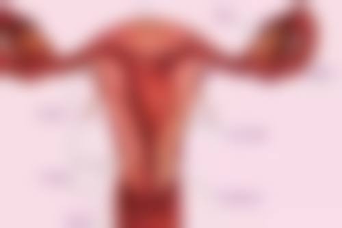 总结：阴唇缩小手术修复期究竟要多久？合理应对