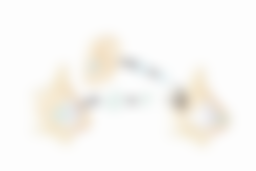 四、成都锦江美乐雅医疗美容门诊部基本信息: