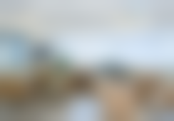 江华医生口碑和评价