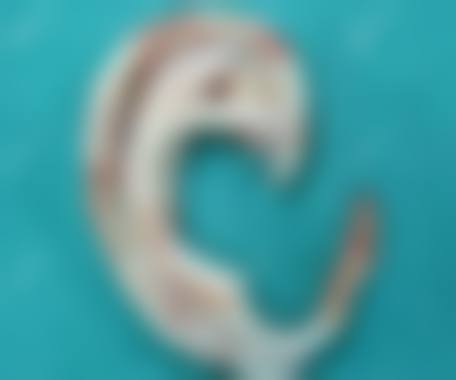 二、湖南艾丽思整形医疗美容正规吗？来看看医院资质：