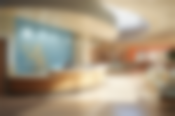 三、北京安贞医院整形外科医生介绍: