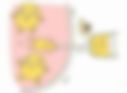 隆鼻全麻多久能醒？不同术式苏醒时间揭秘，多因素影响麻醉恢复进程 